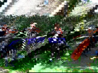 Promo Minerva String Quartet String Quartet Somerset