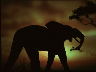 Promo Shadow Shows Circus Performer London