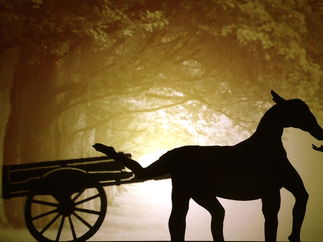 Promo Shadow Shows Circus Performer London