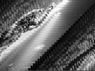 Promo Circus Cabaret Show Circus Performer East Sussex