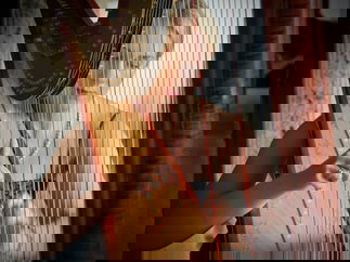 Promo Siona Stockel (Harpist) Harpist Somerset