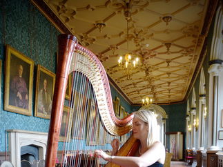Promo Siona Stockel (Harpist) Harpist Somerset