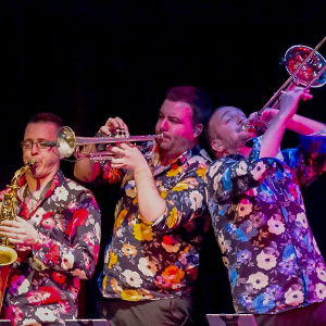Promo Smooth Horns  Hampshire