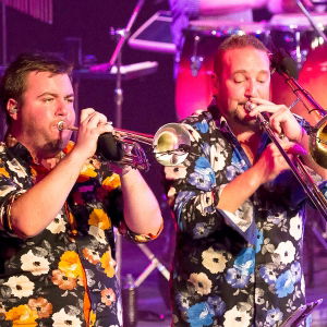 Promo Smooth Horns  Hampshire