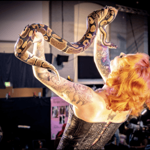 Promo The Ultimate Circus Experience  Lancashire