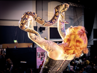 Promo The Ultimate Circus Experience Circus Performer Lancashire