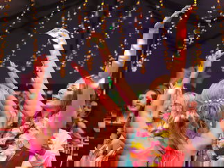 Promo Perfection DJs Wedding DJ Devon