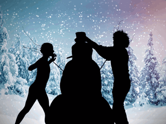 Promo The Christmas Shadow Show Christmas Entertainer Dorset