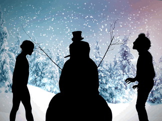 Promo The Christmas Shadow Show Christmas Entertainer Dorset