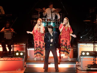 Promo Solid Gold Diamond Neil Diamond Tribute Act Northamptonshire