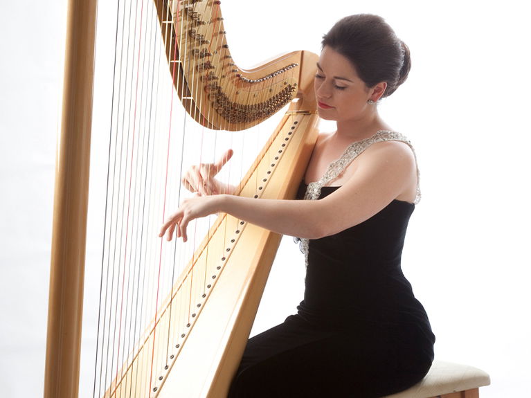 artists similar to The Singing Harpist