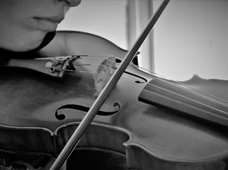 Promo The South Wales String Ensemble String Quartet Vale of Glamorgan