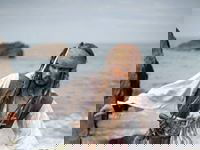 Promo Captain Sparrow Lookalike Lookalike Gloucestershire