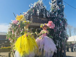 Promo Premium Flower Performers Flower Stilt Walkers and Walkabout Characters Leicestershire