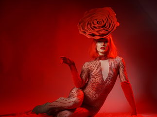 Promo Red Rose Girls Mix and Mingle Entertainer Lancashire