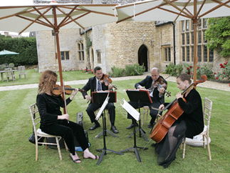 Promo Status Cymbal String Quartet London
