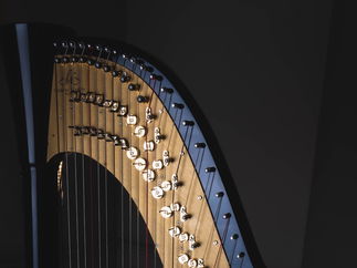 Promo Francesca Harp Harpist East Yorkshire