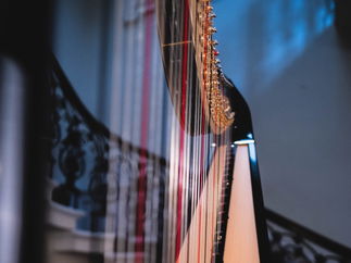 Promo Francesca Harp Harpist East Yorkshire