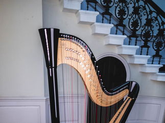Promo Francesca Harp Harpist East Yorkshire