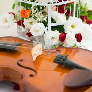 Promo The Scottish String Quartet  Edinburgh