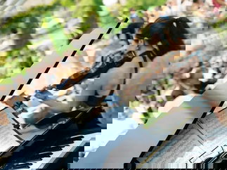 Promo String Fusion Classical Musician Gloucestershire