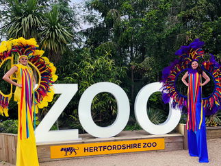 Promo Summer Carnival Stilts Stilt Walkers London