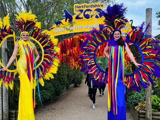 Promo Summer Carnival Stilts Stilt Walkers London