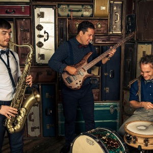 Promo Swing Blue  Hampshire