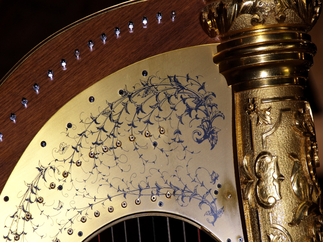 Promo Audrey Cameron Finnemore (Harpist) Harpist Hampshire