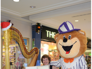 Promo Audrey Cameron Finnemore (Harpist) Harpist Hampshire