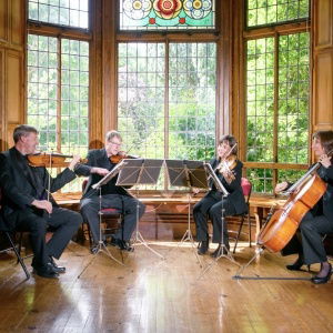 Promo Tatton Strings  Cheshire