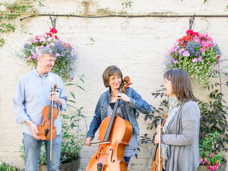 Promo Tatton Strings String Quartet Cheshire