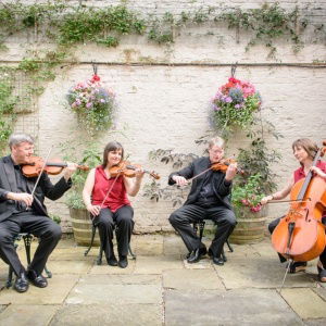 Promo Tatton Strings  Cheshire