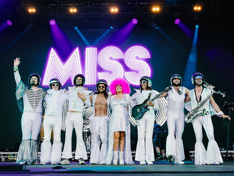 artists similar to The Disco Experience