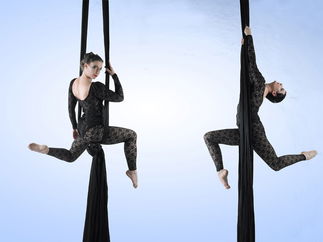 Promo Zu Aerial Dance Circus Performer Cheshire