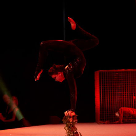 Promo Zu Aerial Dance Circus Performer Cheshire