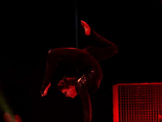 Promo Zu Aerial Dance Circus Performer Cheshire