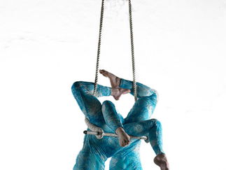 Promo Zu Aerial Dance Circus Performer Cheshire