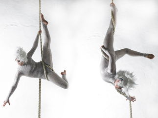 Promo Zu Aerial Dance Circus Performer Cheshire