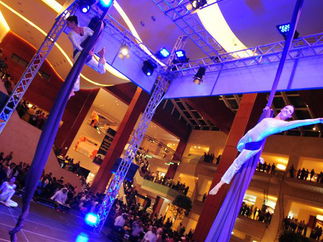 Promo Zu Aerial Dance Circus Performer Cheshire