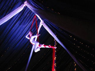 Promo Zu Aerial Dance Circus Performer Cheshire