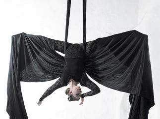 Promo Zu Aerial Dance Circus Performer Cheshire