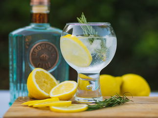 Promo The Big Gin Event Virtual Gin Tasting Manchester
