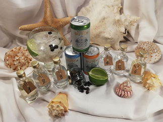 Promo The Big Gin Event Virtual Gin Tasting Manchester