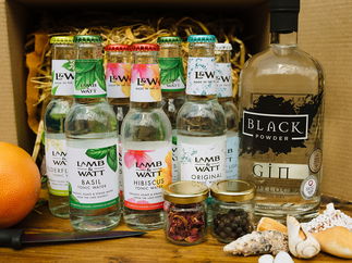 Promo The Big Gin Event Virtual Gin Tasting Manchester