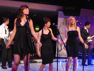 Promo (The Commitments) Sound of the Commitments Commitments Tribute Band Essex