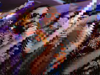 Promo Nightshade Function Band East Sussex