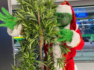 Promo The Green Grinch Christmas Entertainer Kent