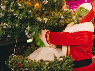 Promo The Green Grinch Christmas Entertainer Kent