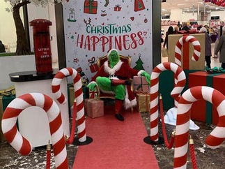 Promo The Grinch Lookalike Grinch Lookalike Lancashire